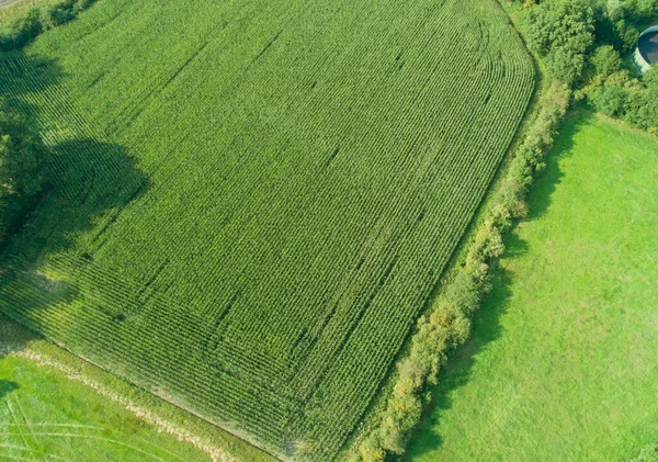 ドローンシュレースヴィヒ ホルシュタイン州の様々な農業分野の空中ビュー — ストック写真