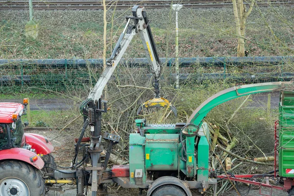 Trituración Ramas Ramas Una Trituradora Industrial —  Fotos de Stock