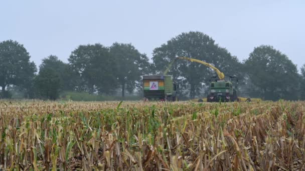 Hamburg Németország 2020 Szeptember John Deere 8800I Kukoricacsalogató John Deere — Stock videók