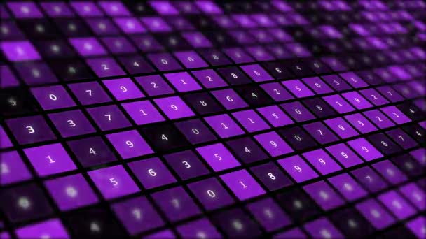 Палитра с образцами и числом фиолетовых оттенков краски . — стоковое видео