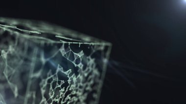 İkili kod ağı soyut resmine sahip 3d küp.