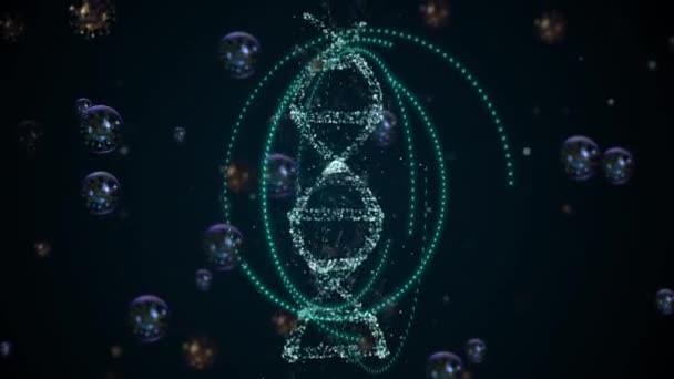 Иммунная система защищает генетическую информацию от инфекций и болезней . — стоковое видео