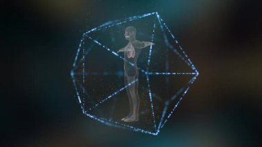 Bağışıklık sistemi vücudu enfeksiyon ve hastalıklara karşı korur..