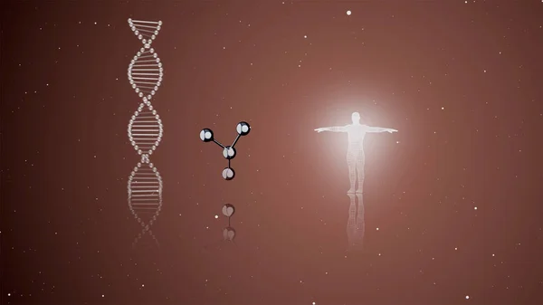 Professional analysis of DNA Structure, genes and genetic disorders, science. DNA Strand molecule with human hologram glowing on dark screen. — Stock Photo, Image