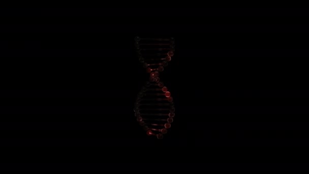 3d rendering of a spiral looking DNA twisting around its axis over black background. — Stock Video