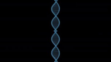 Mavi arkaplan üzerinde soyut DNA aydınlatmasının 3 boyutlu animasyonu.