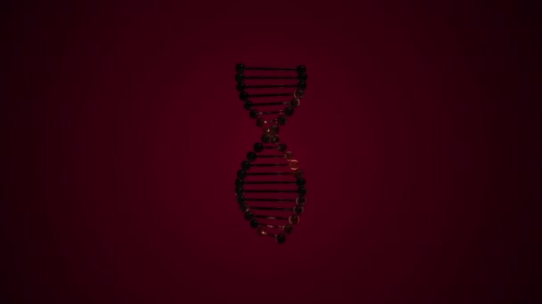 Representación 3d de un ADN en espiral girando alrededor de su eje sobre fondo rojo oscuro . — Vídeos de Stock