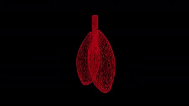 The virus enters the person and infects human lungs over black background. — Stock Video