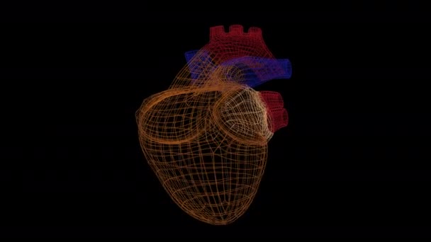 Animación de escaneo cardíaco. La interfaz para detectar enfermedades y problemas con el sistema cardiovascular . — Vídeos de Stock