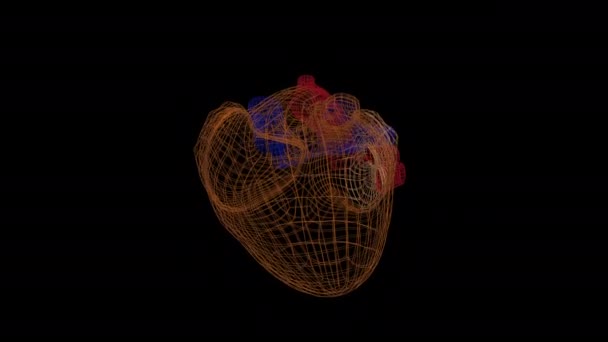 Abstrakt hjärtmodell roterande och pulserande på mörk bakgrund. — Stockvideo