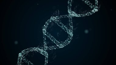 DNA molekülü dört parça adenin, timin, guanin ve sitozinden oluşur..