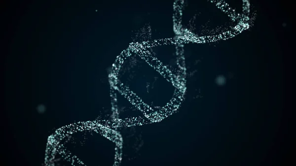 DNA molecule consisiting of four pieces adenine, thymine, guanine and cytosine. — Stock Photo, Image