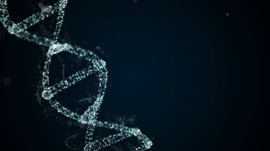 DNA ipliği dört parça adenin, timin, guanin ve sitozinden oluşur.