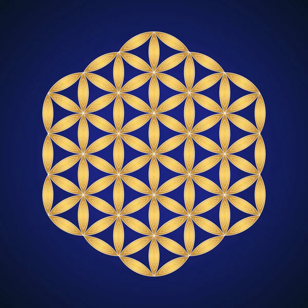 Vector Gold Ornament Design Abstract Mandala Sacred Geometry Illustration Flower — Stock Vector