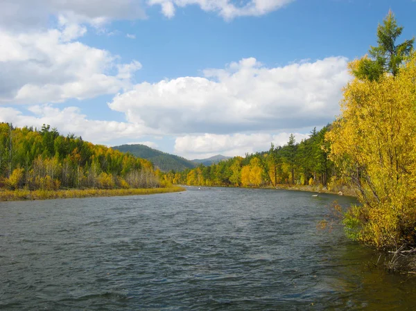 Τοπίο Φθινόπωρο Ποταμός Και Δάσος Transbaikalia Φωτογραφία Αρχείου