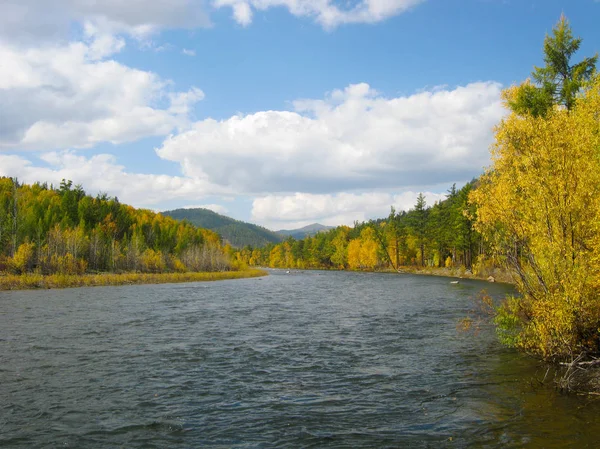 Landscape with autumn river and forest, Transbaikalia — Stock Image Landscape Autumn River Forest Transbaikalia Royalty Free Stock Photos