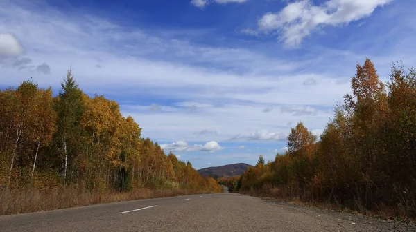 Vägen Som Löper Längs Höst Skogen — Stockfoto