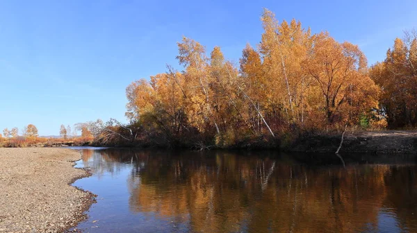 Bosque Otoño Orilla Del Río Reflejo Del Bosque Agua —  Fotos de Stock