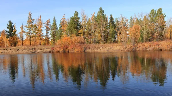 Podzimní Les Břehu Řeky Odraz Lesa Vodě — Stock fotografie