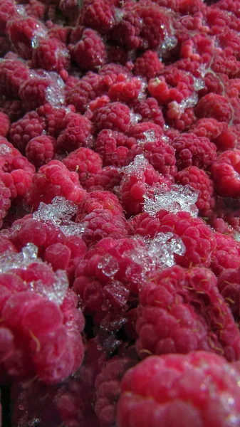 Ahududu buz. dondurulmuş ahududu berry