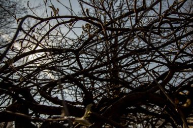 sıva ve boyalı sarı boya taş duvar arka plan doku