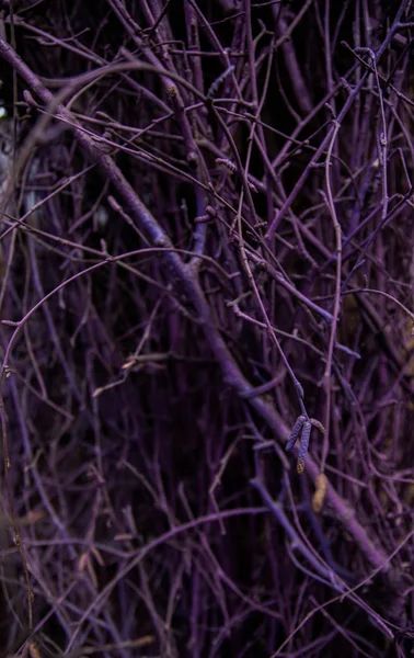 人工紫色の木 屋外装飾の一部 — ストック写真