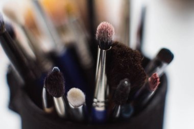 makyaj fırçaları. makyaj için büyük ve küçük fırçalar