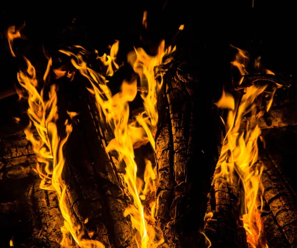 Las Lenguas Brillantes Anaranjadas Del Fuego Sobre Los Troncos Madera —  Fotos de Stock