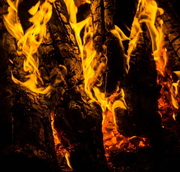 Jasne Pomarańczowe Języki Ognia Drewnianych Kłód Nocy Drewno Ogniu Ognisko — Zdjęcie stockowe