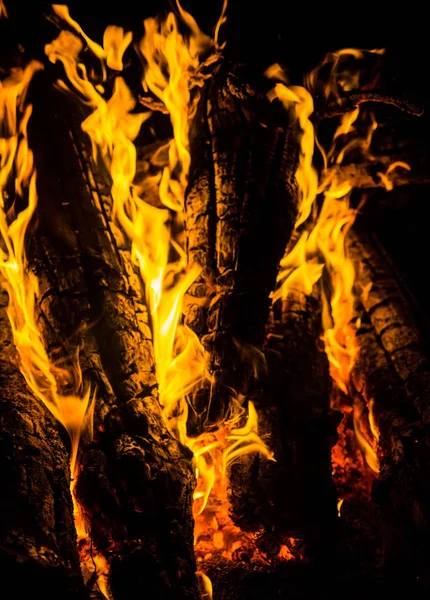 bright orange languages of a fire on wooden logs at night. wood on fire. bonfire at night. campfire. beautiful flame on black background. fire on black background. burning wood . beautiful fire texture. the texture of the campfire