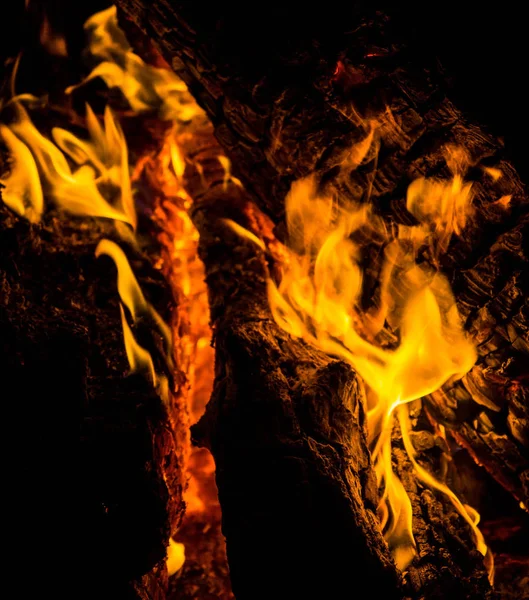 Jasne Pomarańczowe Języki Ognia Drewnianych Kłód Nocy Drewno Ogniu Ognisko — Zdjęcie stockowe