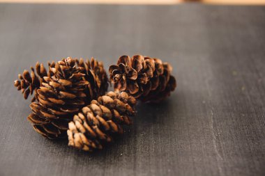 Siyah ve beyaz arka plan uçuş efekti üzerindeki makro fotoğrafçılıktaki tümsekler kahverengi arka plan dokusunu şişirir