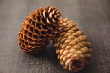 Siyah ve beyaz arka plan uçuş efekti üzerindeki makro fotoğrafçılıktaki tümsekler kahverengi arka plan dokusunu şişirir