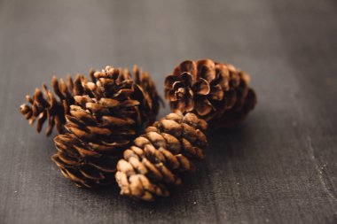 Siyah ve beyaz arka plan uçuş efekti üzerindeki makro fotoğrafçılıktaki tümsekler kahverengi arka plan dokusunu şişirir