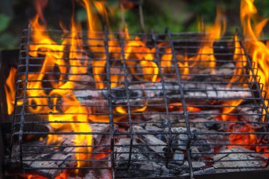Izgarada ateş yanıyor. Güzel alev. Yanan odun