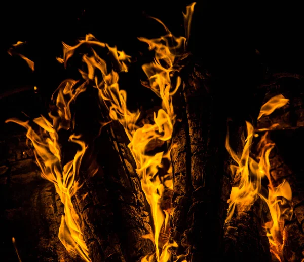 Las Lenguas Brillantes Anaranjadas Del Fuego Sobre Los Troncos Madera —  Fotos de Stock