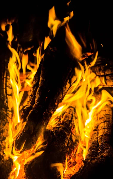 bright orange languages of a fire on wooden logs at night. wood on fire. bonfire at night. campfire. beautiful flame on black background. fire on black background. burning wood . beautiful fire texture. the texture of the campfire