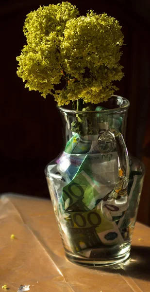 yellow dry flowers in a vase where instead of water of money. flowers grow out of money. vase floor money Euro dollars