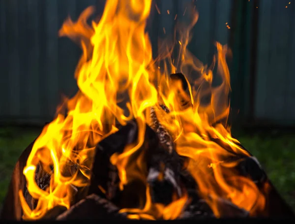 Fuego Ardiendo Parrilla Hermosa Llama Quema Madera —  Fotos de Stock