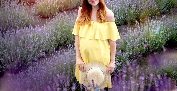 Chica embarazada en lavanda — Foto de Stock