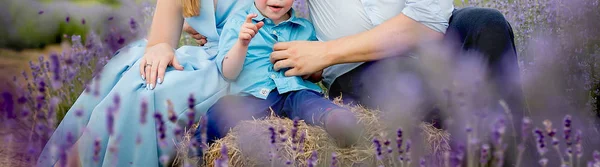 Mamás, papá, hijo, heno, campo, lavanda — Foto de Stock