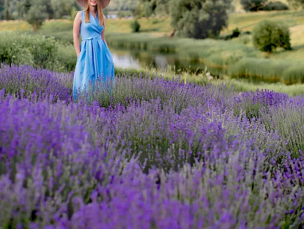 Flicka i lavendel — Stockfoto