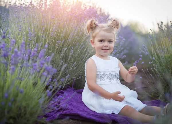 Маленька дівчинка в білій сукні сидить у лавандовому полі — стокове фото