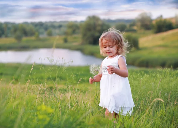 Little girl in a green field with a big dandelion — Stock Photo, Image