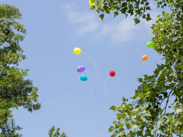 colorful balloons fly into the sky