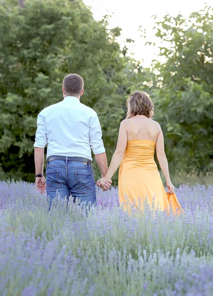 Esperando por um milagre na lavanda — Fotografia de Stock