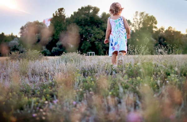 Little girl in summer sundress runs in nature and having fun — Stock Photo, Image