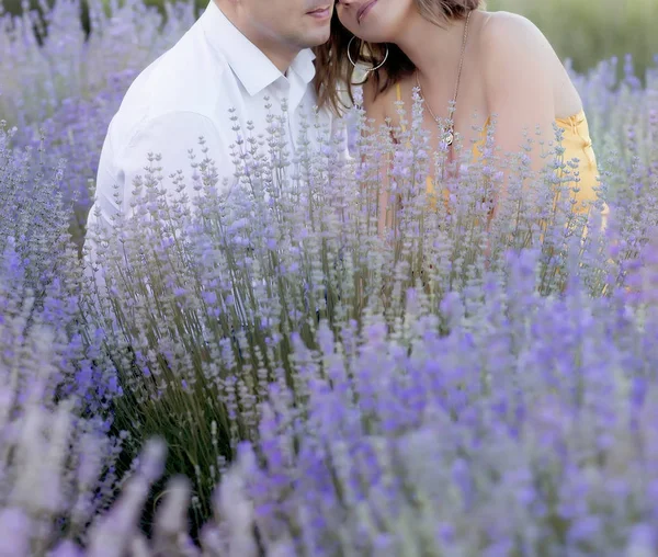 Pareja casada en un campo de lavanda — Foto de Stock