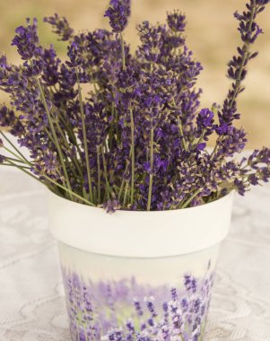 bir vazo lavanta bir buket beyaz bir masa ile masada