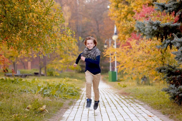 Young boy in autumn park near the lake — Stock Photo, Image